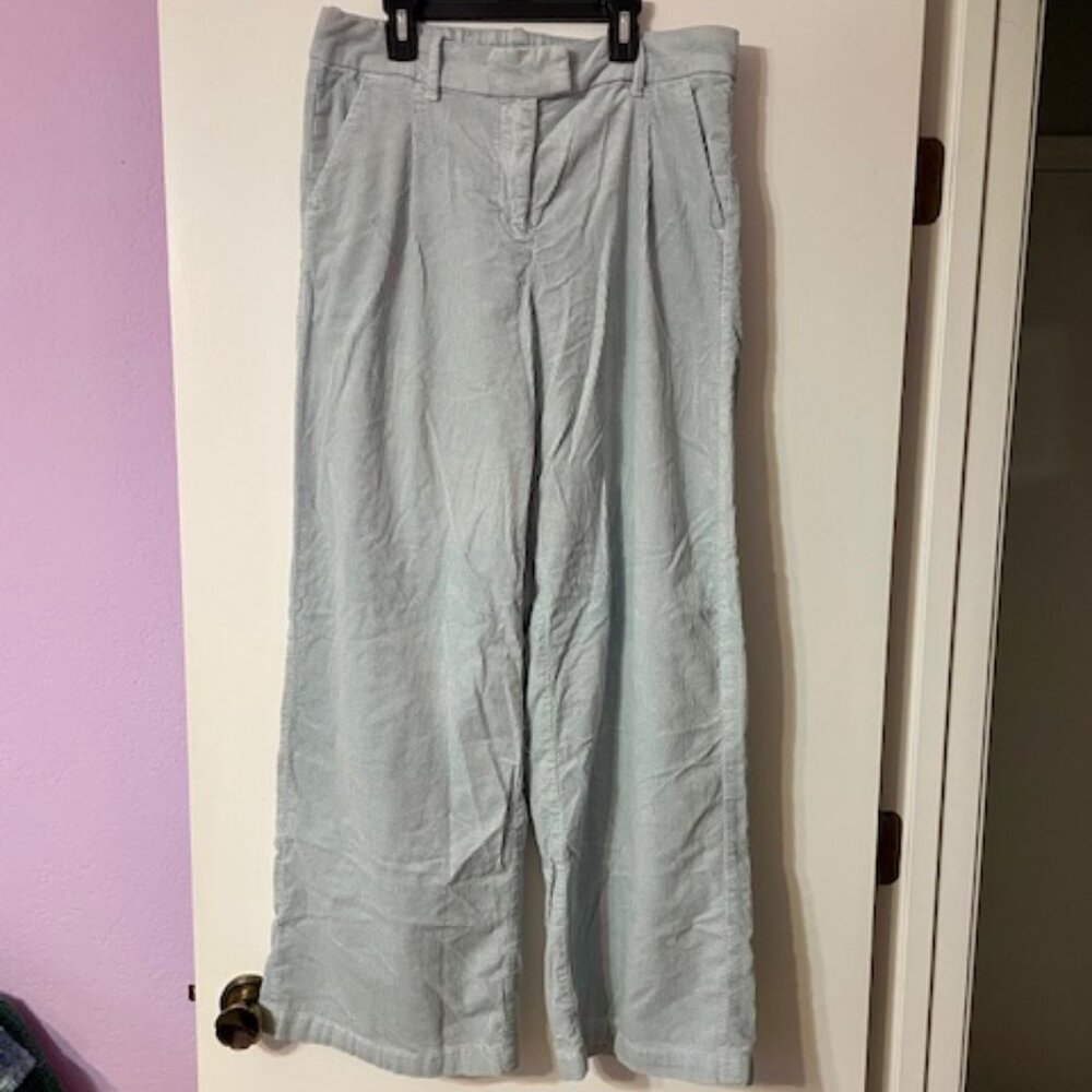American Eagle Corduroy Trouser Pants (Baby/Light Blue) Stretch 10 Long